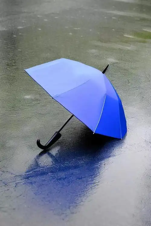 在我们的人生中,遇到挑战,但是,我们别人难关解决问题,伞在雨中更加