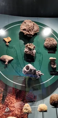 澄江化石地自然博物馆一澄江帆船基地