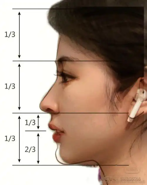 最近很火的侧脸对比照