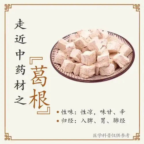 葛根升阳解肌生津止渴