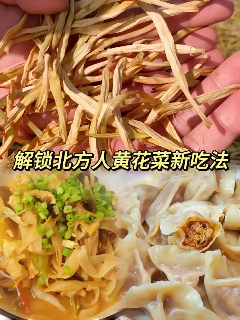 解锁北方人黄花菜新吃法!大同黄花菜是自有基地种植采摘 传统 - 抖音