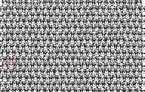 8道题考眼力!第2道我就给跪了……不信你进来试试