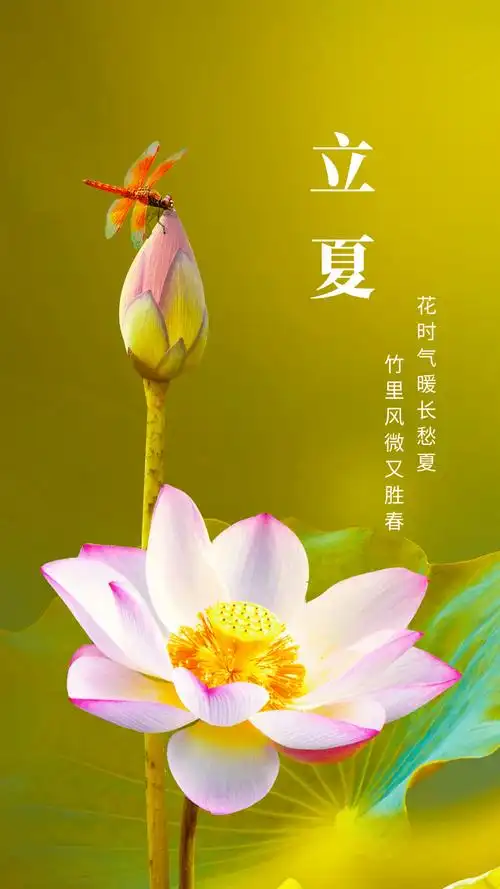 立夏节气早安问候祝福语图片带字温馨 立夏节气问候祝福语大全_一生