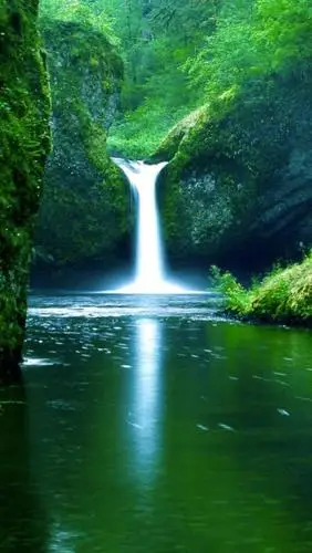绿林瀑布,锁屏图片,高清手机壁纸,风景-回车桌面