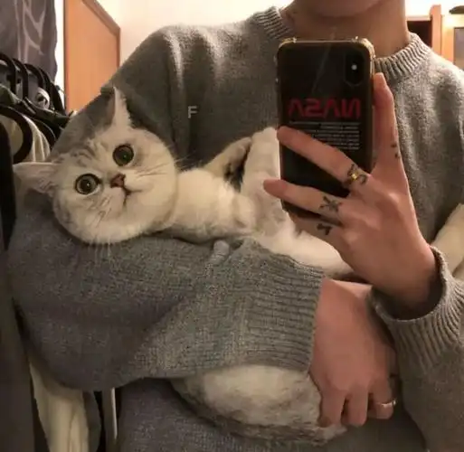 男生抱着大猫咪头像