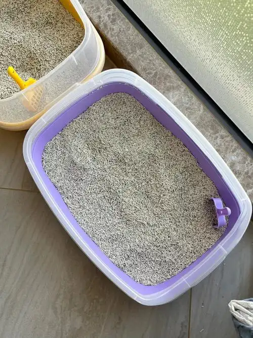 两人两猫哪种开放型猫砂盆最好用