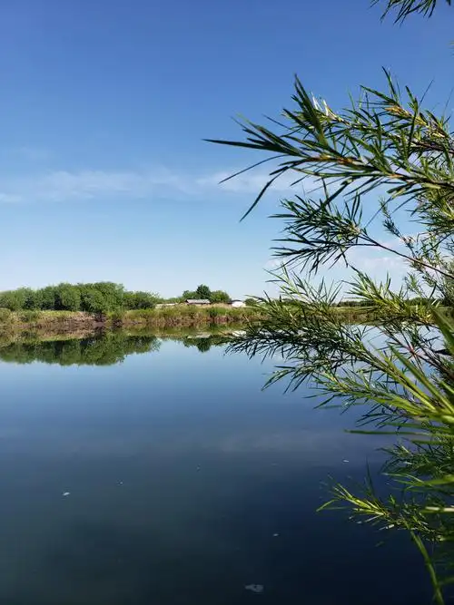 天蓝水净树静心自在