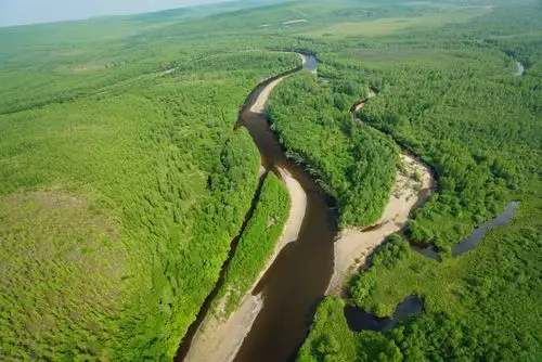 坐直升机鸟瞰大兴安岭,一望无际都是绿色