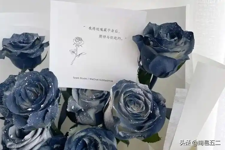 配玫瑰花的简短文字(高情商晒花朋友圈文案)