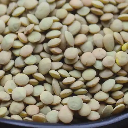 小扁豆农家山地5斤新货滨豆豆绿健康粗粮五谷杂粮其它