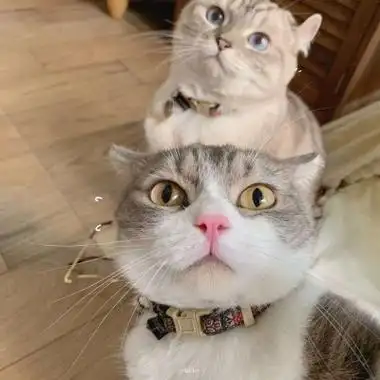 情侣图案一人一半头像高清一人一半的独特而且好看的情头