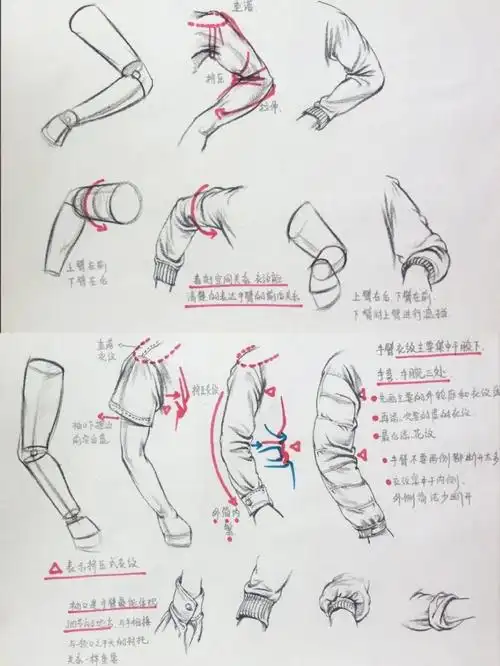 人物速写中特别常见的挤压型衣纹示范