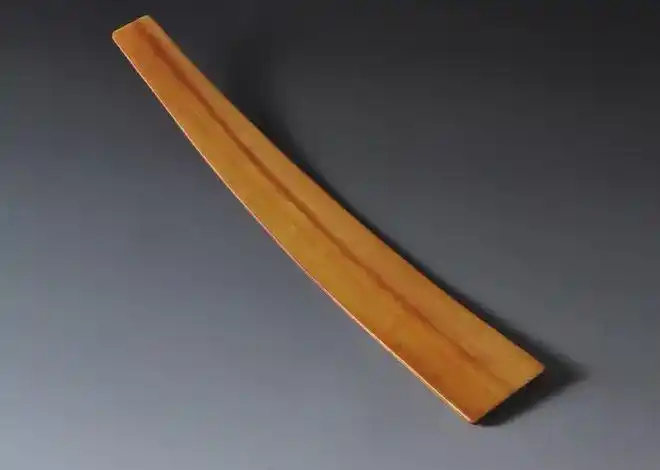 古代官员上朝携带的笏板有何作用清代为何废除