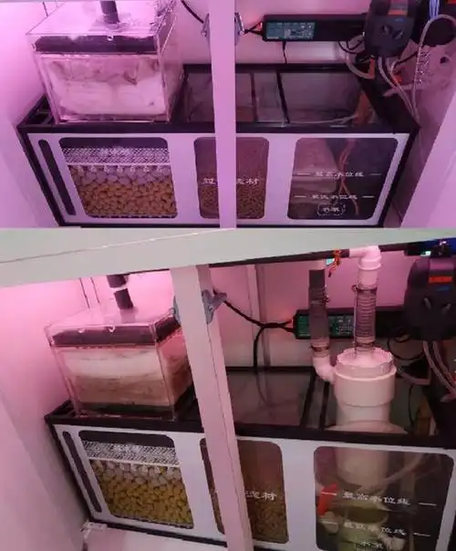 探讨:底滤里前的一个小沉淀能起到多少作用?