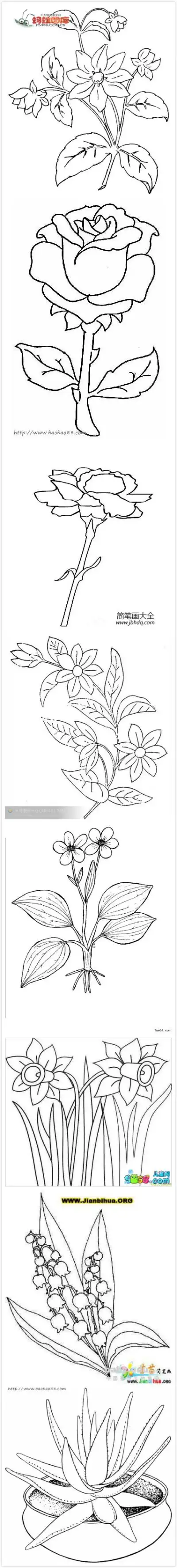 儿童画 简笔画 手绘 线稿 花草树木