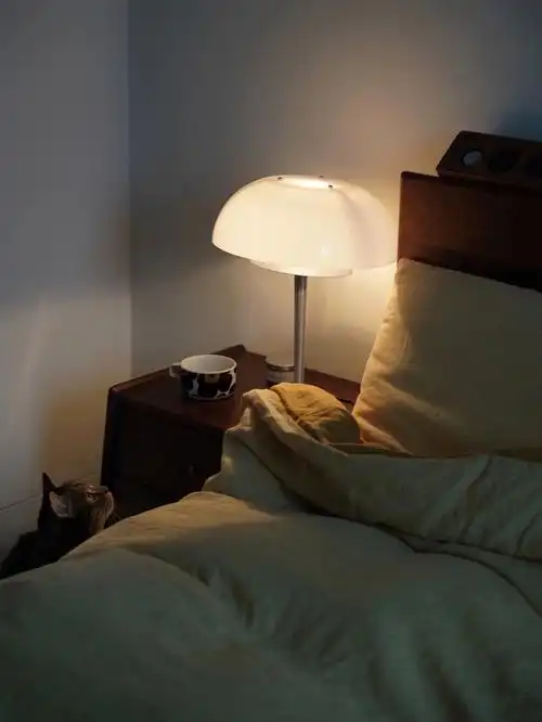 我家的床头氛围78由他们点亮