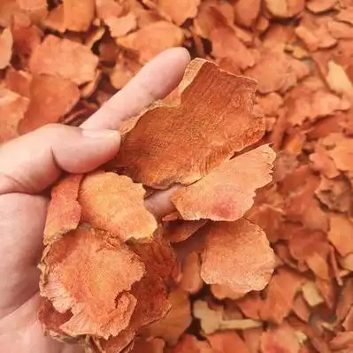 土茯苓价格行情