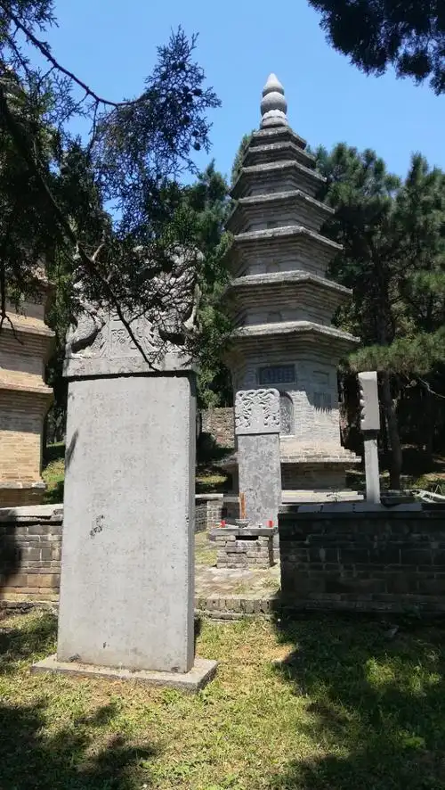 2020佛塔-旅游攻略-门票-地址-问答-游记点评,少林寺旅游旅游景点推荐