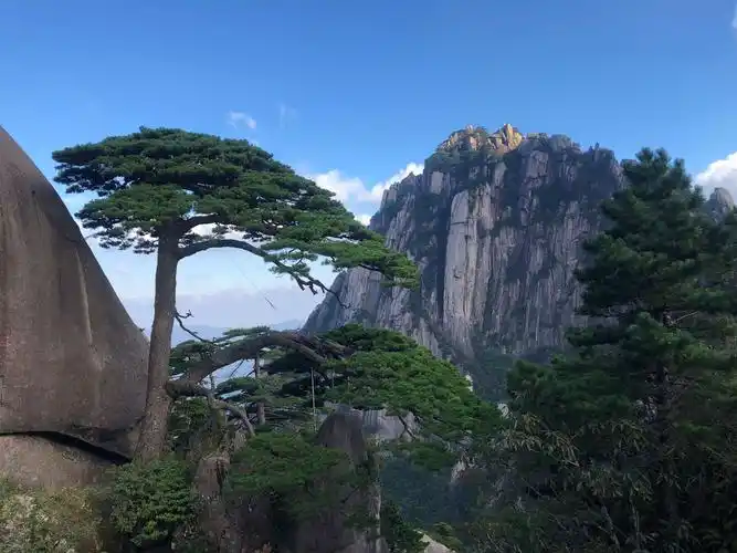 其它 黄山奇石 写美篇黄山四绝之首奇松, 一侧枝桠伸出,如人伸出一只