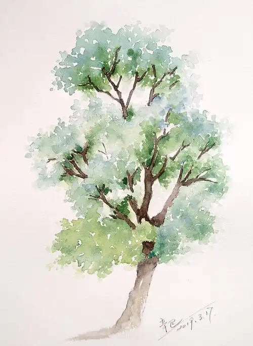 最近的手绘水彩大树
