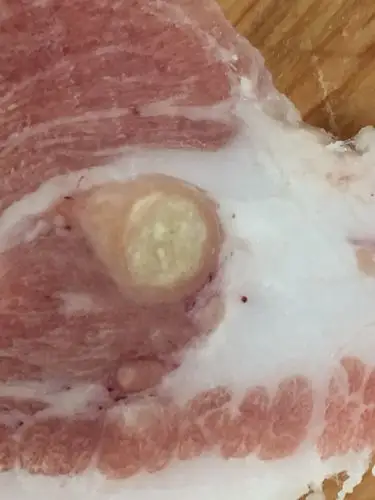 猪前槽肉里有黄豆大小的疙瘩是什么?