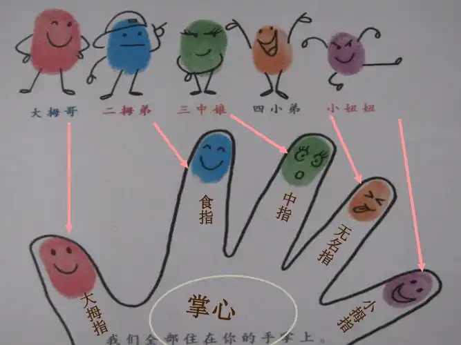 浙美版一年级下册美术第12课有趣的手指画丨课件20张ppt