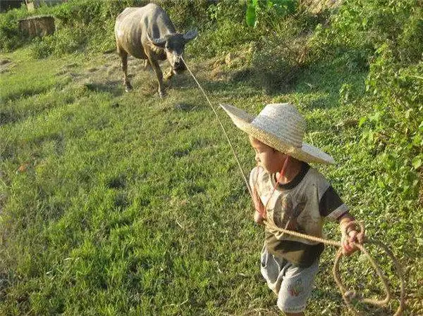 80后农村出生的一代人玩的各种玩具和游戏,有玩过的举手