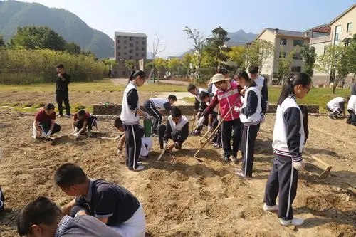 快乐劳动,从我做起——记杭州银湖实验中学801班新劳动教育活动