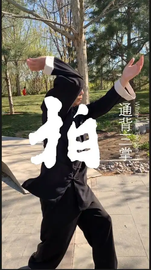 通背拳#白猿通背拳~拍掌