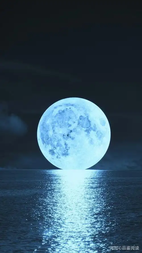 月光在海面上,漂亮的小鱼在海里愉快的玩耍! - 刘文政897 - 图虫