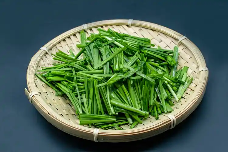 蔬菜韭菜高清摄影图素材