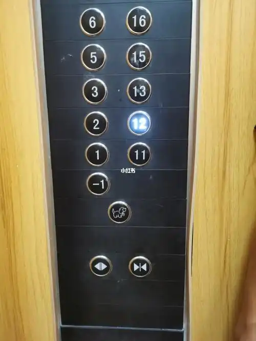 这个电梯按键有个狗狗是什么意思