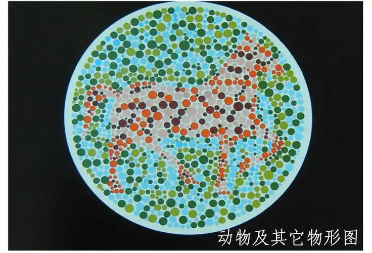新编色觉检查图 李春慧编 体检视力眼睛 色盲色弱检测测试图 驾照测试