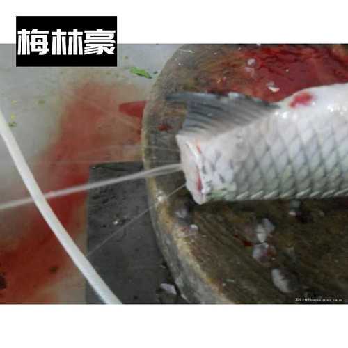顺德鱼生放血针鱼生工具鱼生针加厚实用鱼片针管新款不锈钢家用