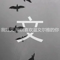 姓文头像_第1页