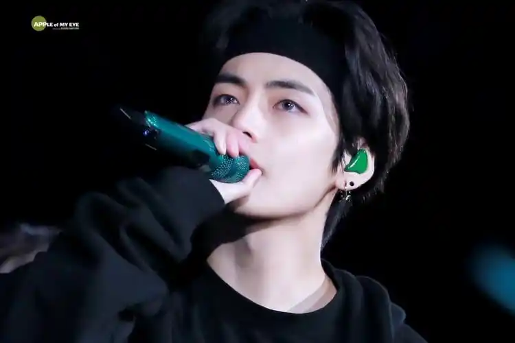 bts 防弹少年团 金泰亨