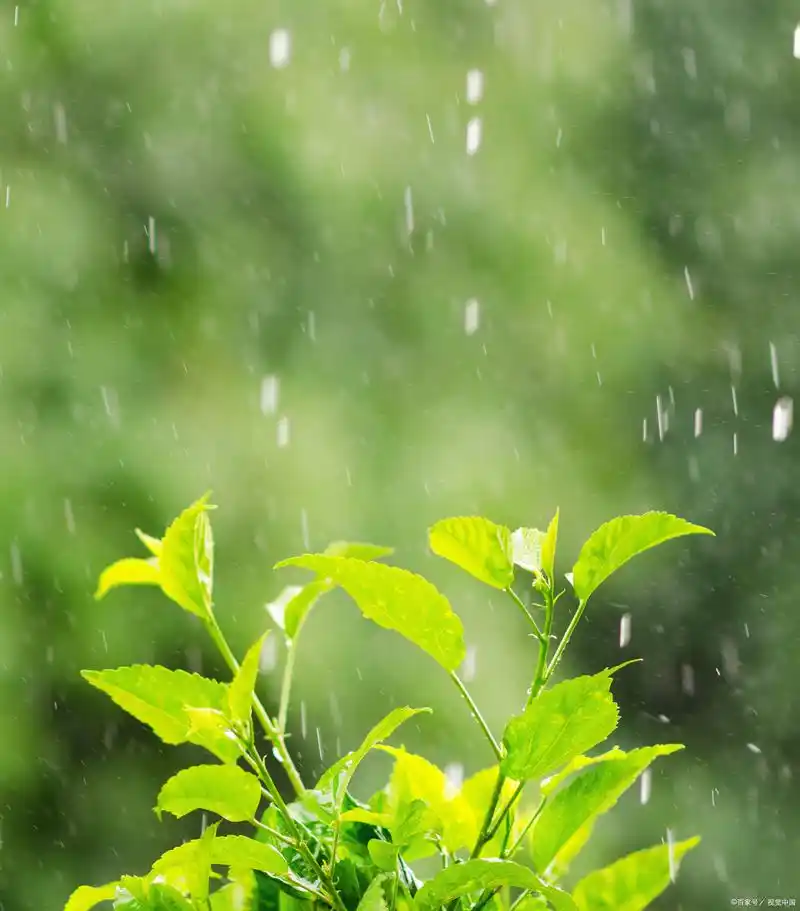 有些人能感受雨,而其他人则只是被淋湿