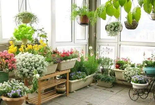 设计师教你用百元打造自己的小花园