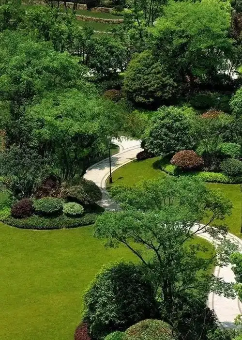 景观植物种植设计图文解析