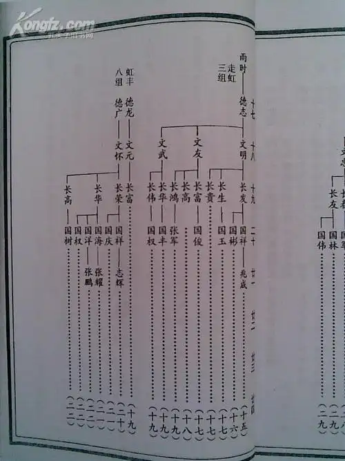 家谱---张氏宗谱[百忍堂]建湖颜单支 16开 162页 1994年修 复印本