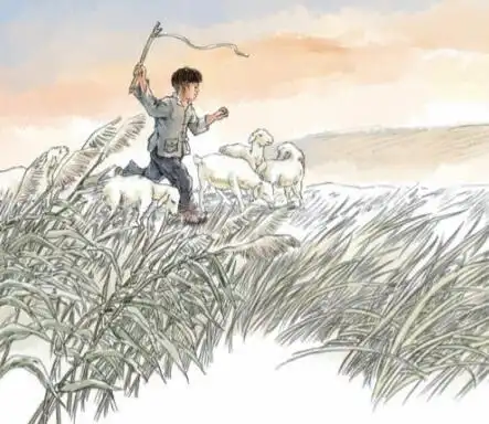 师生共读一本书——《草房子》