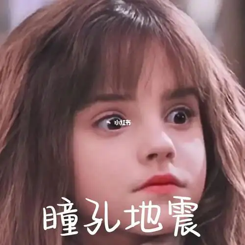 自制表情包第11弹