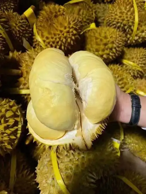 泰国金枕榴莲软糯香甜一手供应坏果包赔包售后