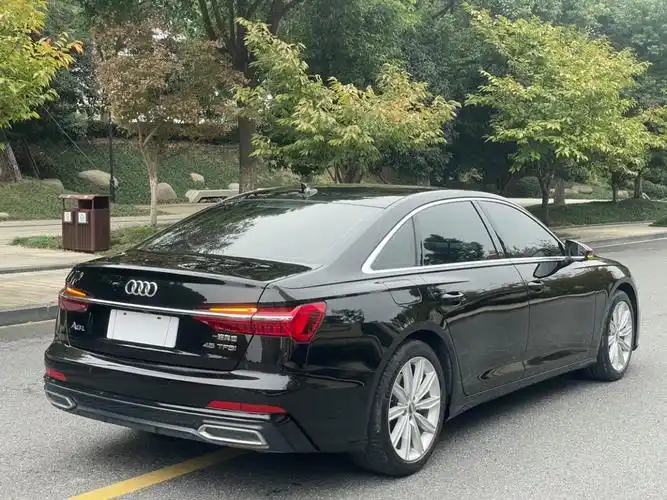 奥迪 奥迪a6l  2020款 45 tfsi 臻选动感型图片