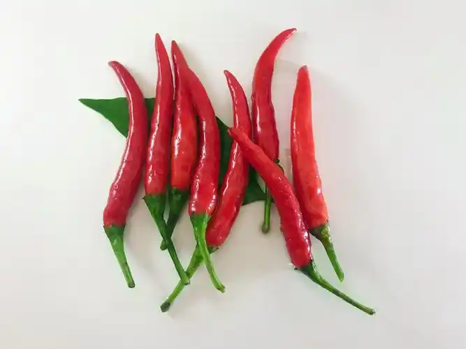 农家自种新鲜小米米辣椒5斤红辣椒朝天蔬菜泡椒辣椒