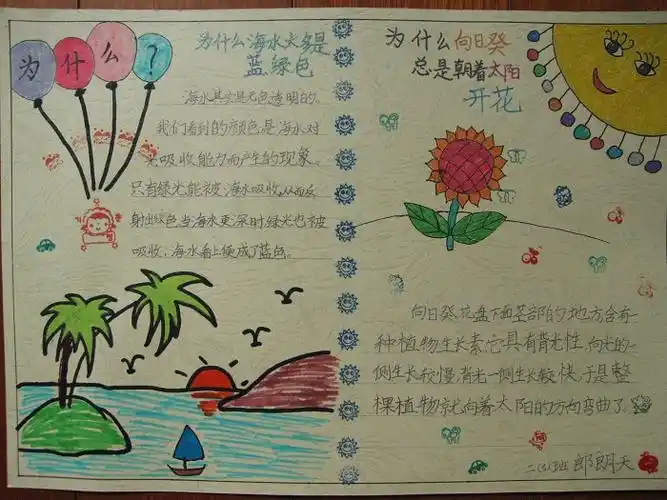 科普认知卡上面的这些科普手抄报,给我们带来了很多趣味的科普知识