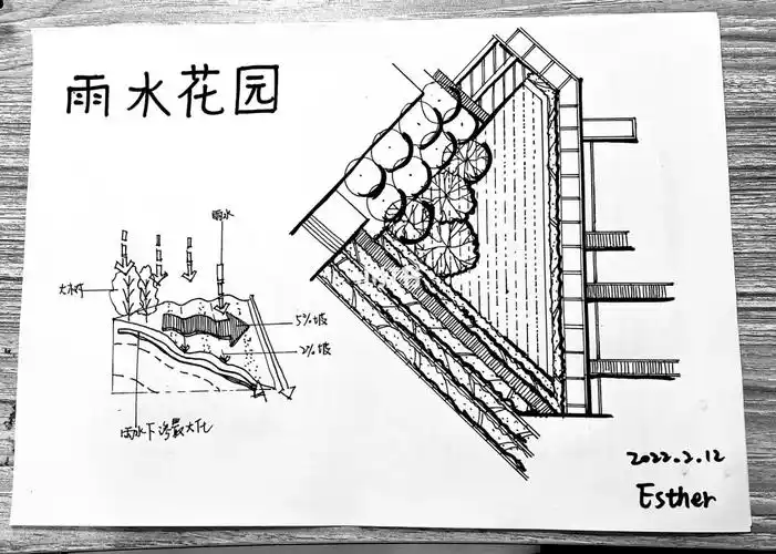 【每天一练06】平面图--雨水花园