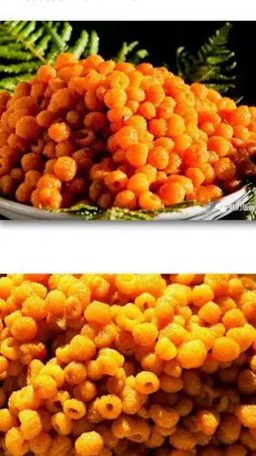 世界第三代水果树莓用品质因子诱导后在我们上海展示