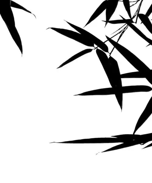 水墨竹韵 - 美篇