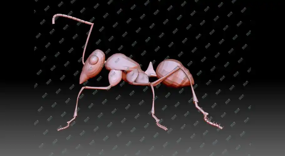 蚂蚁模型-3d打印模型下载-3d工场 3dworks.cn